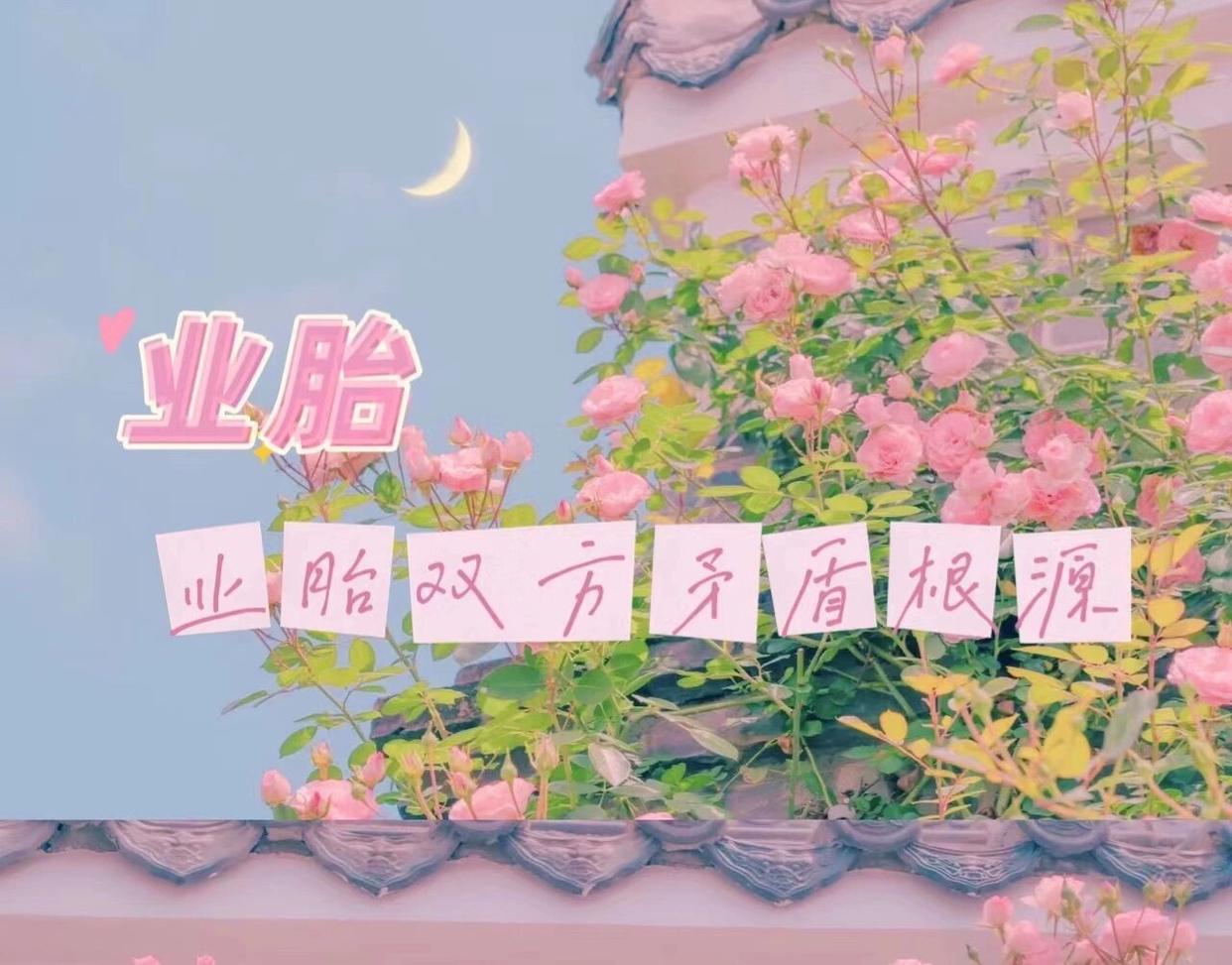 罗志恒：化债远未结束，财政是中国经济矛盾的总根源