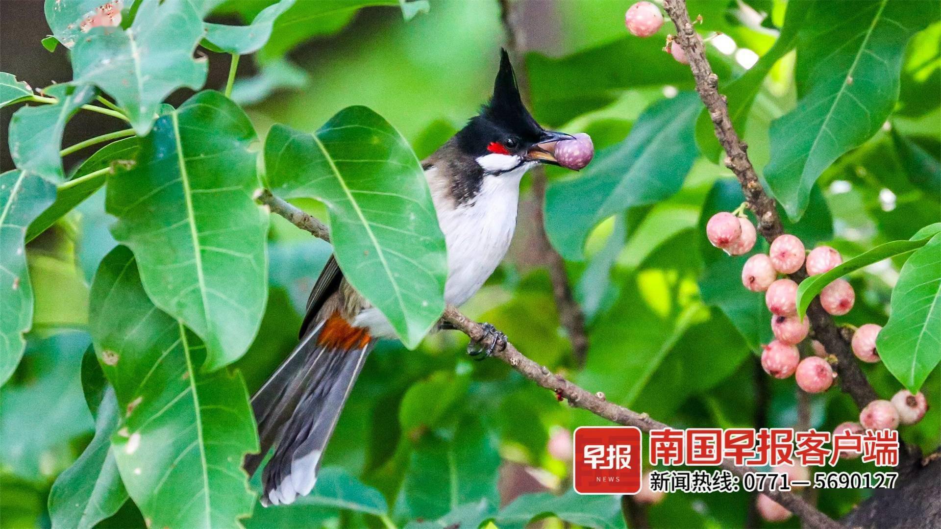 立方风控鸟·早报（12月27日）
