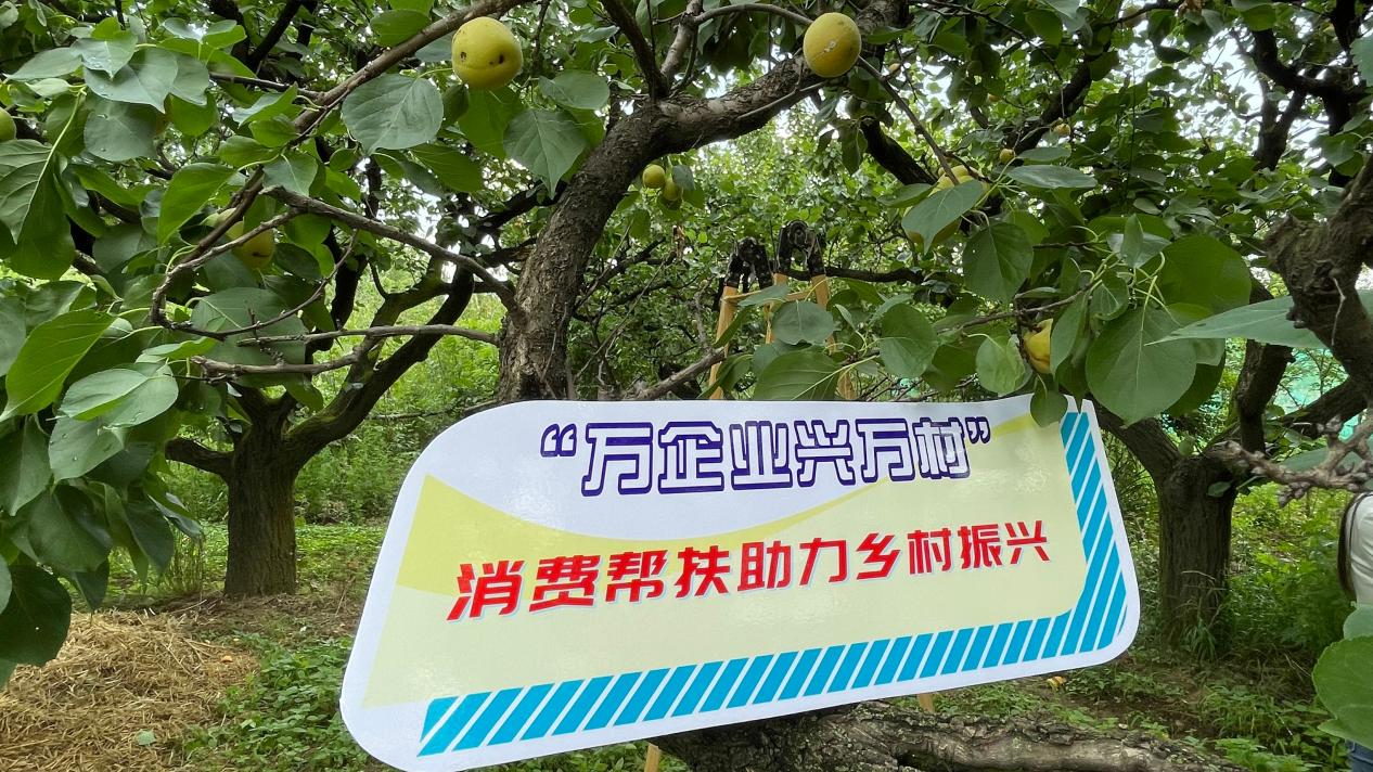 通源石油龙虎榜数据(10月22日)