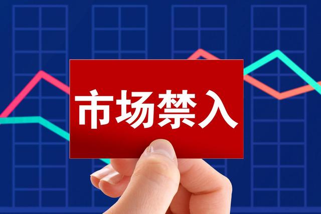 非经营性资金占用 黑芝麻时任董事长拟被罚500万元